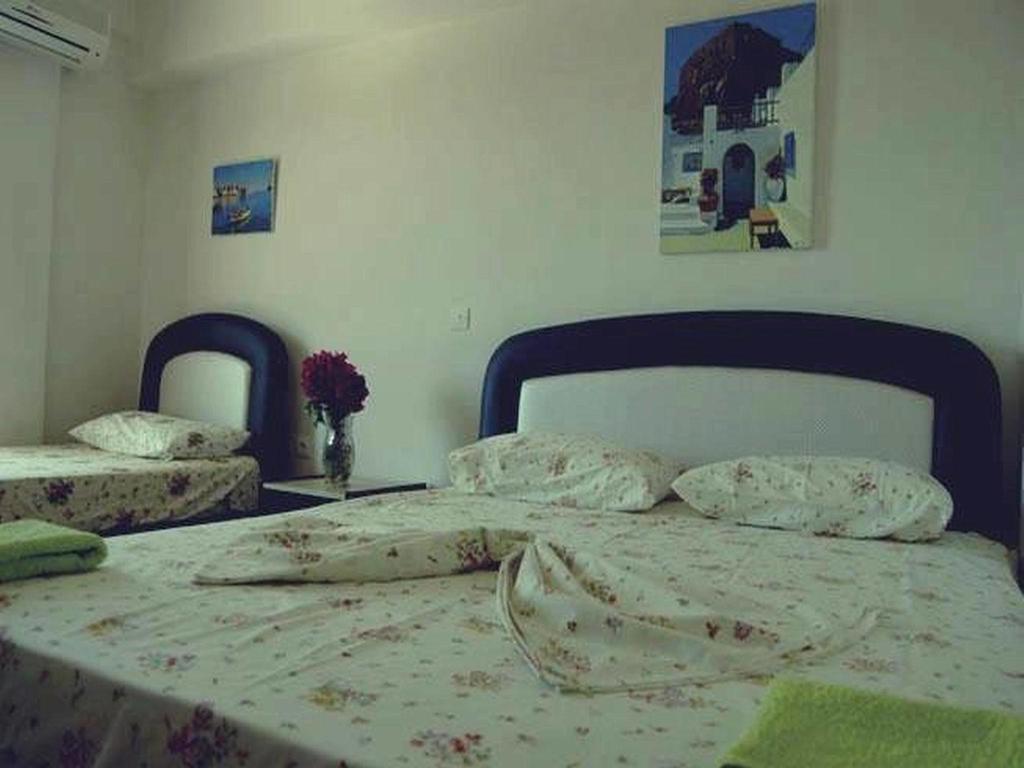 Himara Hostel
